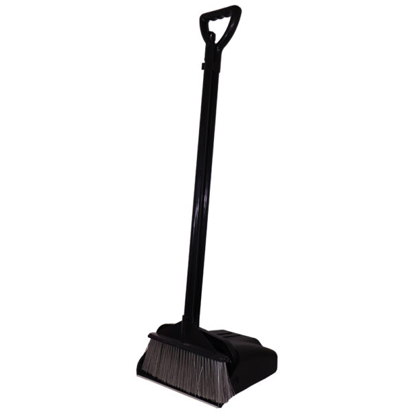 Plastic Long Handle Scoop And Broom