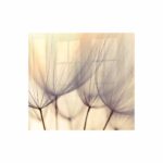 Decorative Glass Wall Tile 598Mm X 650Mm Dandelion Floret