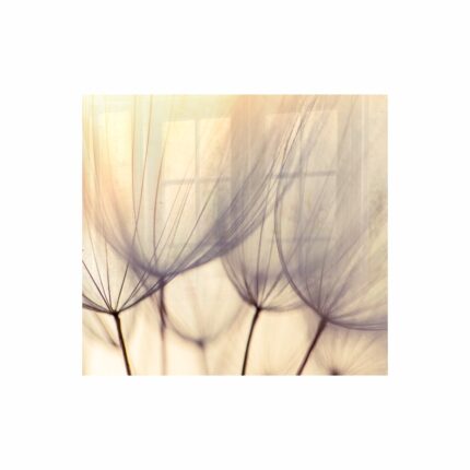 Decorative Glass Wall Tile 598Mm X 650Mm Dandelion Floret