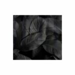 Decorative Glass Wall Tile 598Mm X 650Mm Feathers