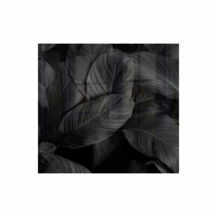 Decorative Glass Wall Tile 598Mm X 650Mm Feathers