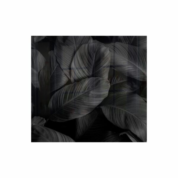Decorative Glass Wall Tile 598Mm X 650Mm Feathers