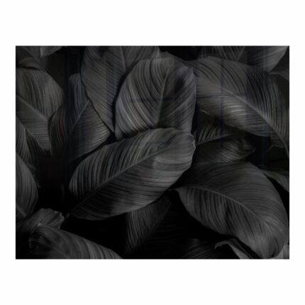 Decorative Glass Wall Tile 898Mm X 700Mm Feathers
