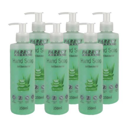 Antibacterial Hand Soap Aloe Vera 250Ml Box Of 6