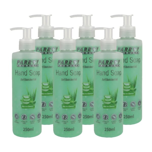 Antibacterial Hand Soap Aloe Vera 250Ml Box Of 6