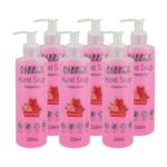 Antibacterial Hand Soap Strawberry Box Of 6