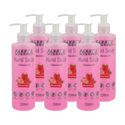 Antibacterial Hand Soap Strawberry Box Of 6