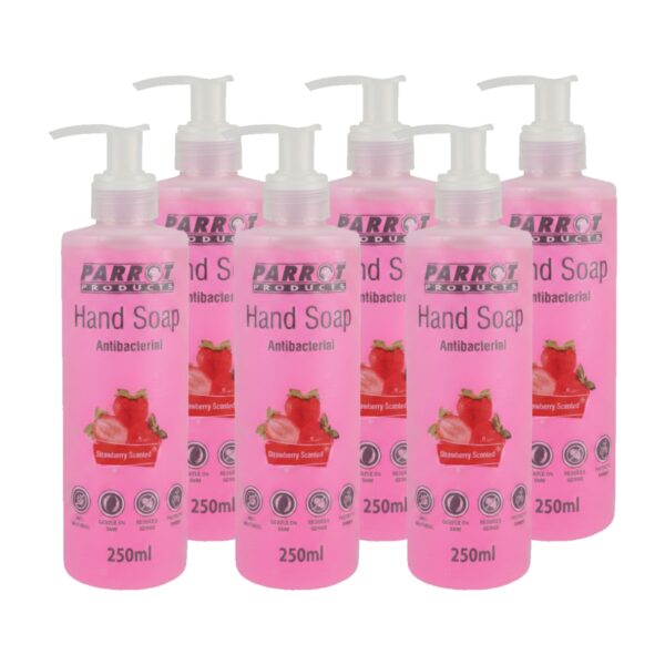 Antibacterial Hand Soap Strawberry Box Of 6