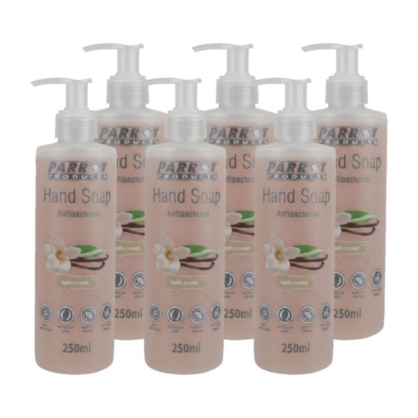 Antibacterial Hand Soap Vanilla 250Ml Box Of 6