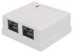 Acconet CAT6 Dual RJ45 Wall Box | CAT6-BOX-2 - Image 3