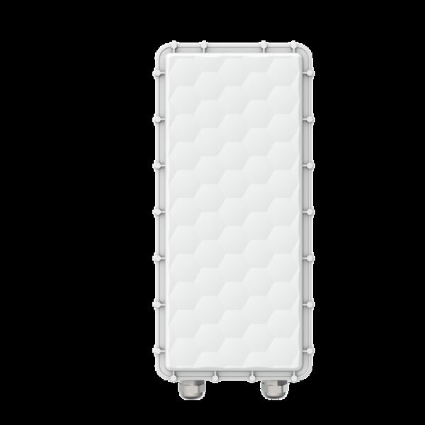 Ligowave PTMP RapidFire 600 Mbps Carrier base-station with N-connectors